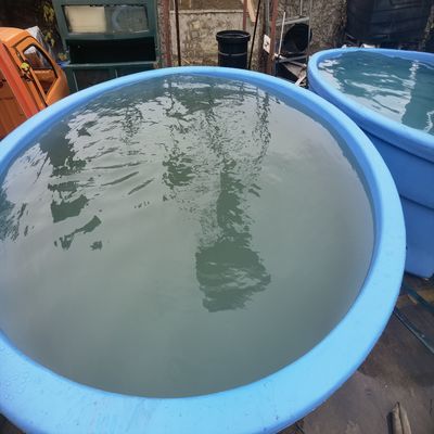Hoogwaardige watertankvorm voor toepassing bij temperaturen van 50 ℃